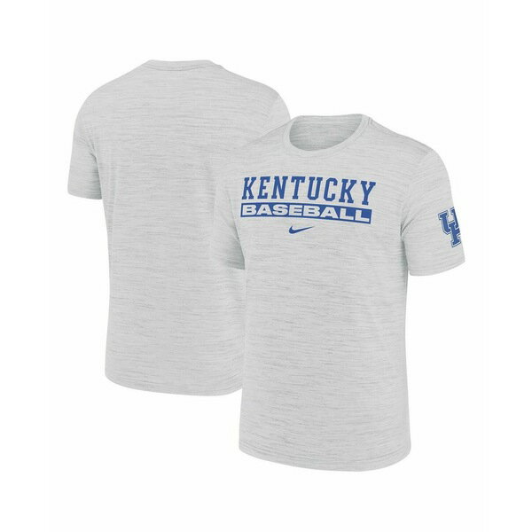 ʥ   ȥåץ Men's Ash Kentucky Wildcats Velocity Baseball Wordmar...