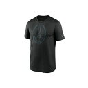 ナイキ メンズ シャツ トップス Carolina Panthers Men's Icon Legend T-Shirt Black
