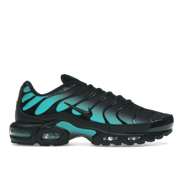 Nike ナイキ メンズ スニーカー 【Nike Air Max Plus Black Dusty Cactus】 サイズ US_12(30.0cm) Black/Dusty Cactus/Black