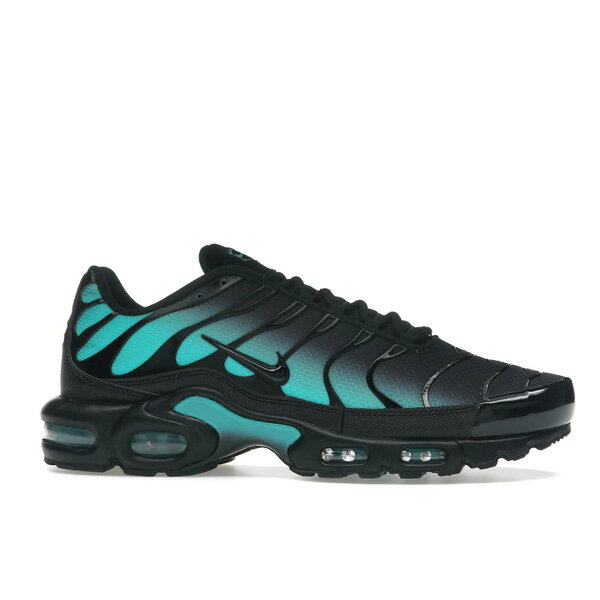 Nike ナイキ メンズ スニーカー 【Nike Air Max Plus Black Dusty Cactus】 サイズ US_12(30.0cm) Black/Dusty Cactus/Black