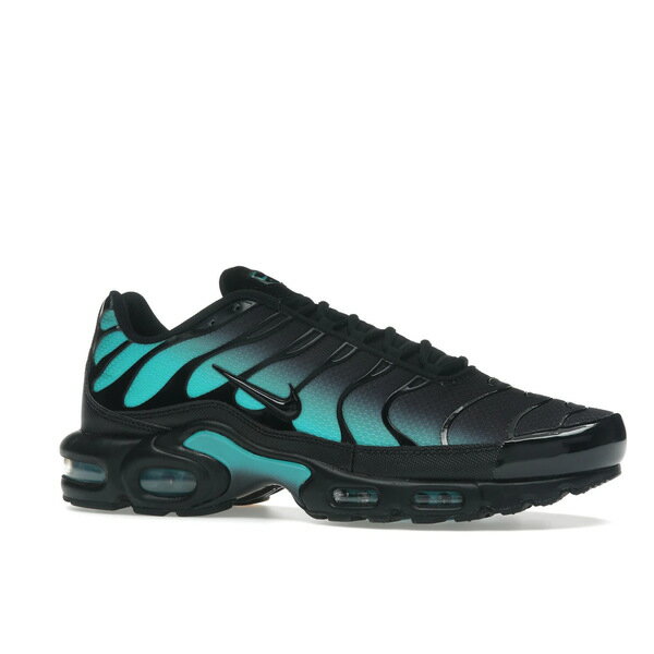 Nike ナイキ メンズ スニーカー 【Nike Air Max Plus Black Dusty Cactus】 サイズ US_12(30.0cm) Black/Dusty Cactus/Black