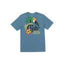 ボルコム メンズ Tシャツ トップス Men's Boozey Bird Short Sleeve T-shirt Stone Blue Heather