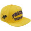 ץ  ˹ ꡼ Prairie View A&M Panthers Pro Standard Evergreen Prairie View Snapback Hat Gold