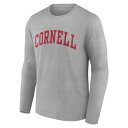 ファナティクス メンズ Tシャツ トップス Cornell Big Red Fanatics Branded Basic Arch Long Sleeve TShirt Gray