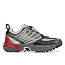 Salomon T Y Xj[J[ ySalomon ACS Pro Advancedz TCY US_11.5(29.5cm) Lunar Rock Goji