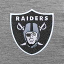 アンティグア レディース パーカー・スウェットシャツ アウター Las Vegas Raiders Antigua Women's Victory Chenille Pullover Hoodie Heathered Gray