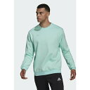 アディダス メンズ バスケットボール スポーツ ENTRADA - Sweatshirt - turquoise