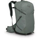 オスプレー レディース ランニング スポーツ Osprey Sportlite 25 Liter Hiking Backpack Pine Leaf Green