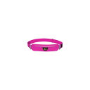 アンフィポッド レディース ランニング スポーツ Amphipod Race Plus Waist Pack Pink/Silver