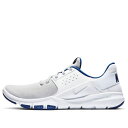 Nike ナイキ メンズ スニーカー 【Nike Flex Control 3 'Wolf Grey Deep Royal Blue' AJ5911-004】 サイズ US_11(29.0cm)