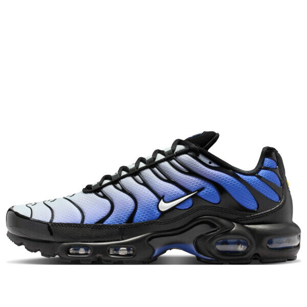 Nike ナイキ メンズ スニーカー 【Nike Air Max Plus 'Black Sapphire' DM0032-031】 サイズ US_8(26.0cm)