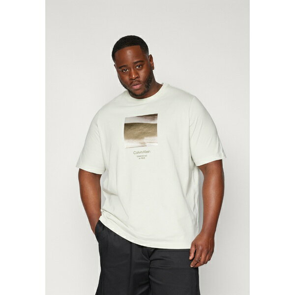 カルバンクライン メンズ Tシャツ トップス DIFFUSED GRAPHIC - Print T-shirt - icicle