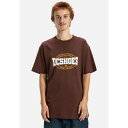 ディーシー メンズ Tシャツ トップス STANDOUT HSS - Print T-shirt - rsy0 bitter chocolate