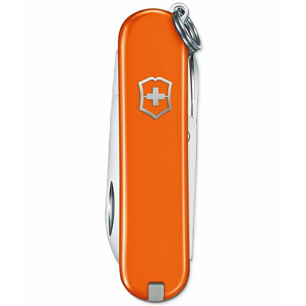 ӥȥΥå ǥ ӻ ꡼ Swiss Army Classic SD Pocketknife, Mango Tan...