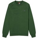 ザ・ノース・フェイス ノースフェイス メンズ パーカー・スウェットシャツ アウター The North Face Raglan Redbox Crew Sweater Green