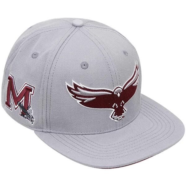 vX^_[h Y Xq ANZT[ Maryland Eastern Shore Hawks Pro Standard Evergreen Mascot Snapback Hat Gray