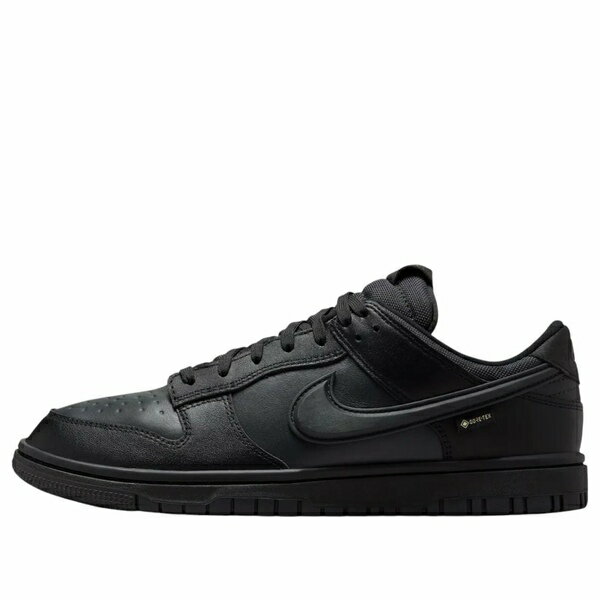 Nike ナイキ メンズ スニーカー 【Nike Dunk Low GTX 'Black' HQ2053-001】 サイズ US_10(28.0cm)