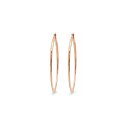 XeB[^C fB[X sAXCO ANZT[ 18K Rose Gold Plated Stainless Steel Hoop Earrings Rose Gold-Plated