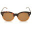 ̵ Х󥯥饤 ǥ 󥰥饹 ꡼ CK4354 Sunglasses Havana Brown