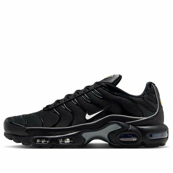 asty㤨Nike ʥ  ˡ Nike Air Max Plus 'Black Reflective' HV8066-002  US_10(28.0cmפβǤʤ58,800ߤˤʤޤ