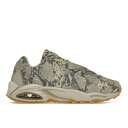 Nike ナイキ メンズ スニーカー 【Nike Hot Step Air Terra】 サイズ US_4(23.0cm) Drake NOCTA Snakeskin