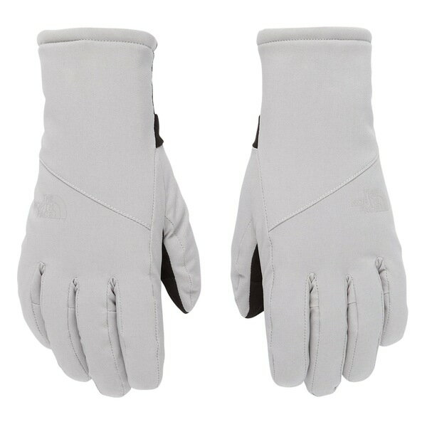 ノースフェイス レディース 手袋 アクセサリー The North Face Women's Shelbe Raschel Etip Gloves Meld Grey