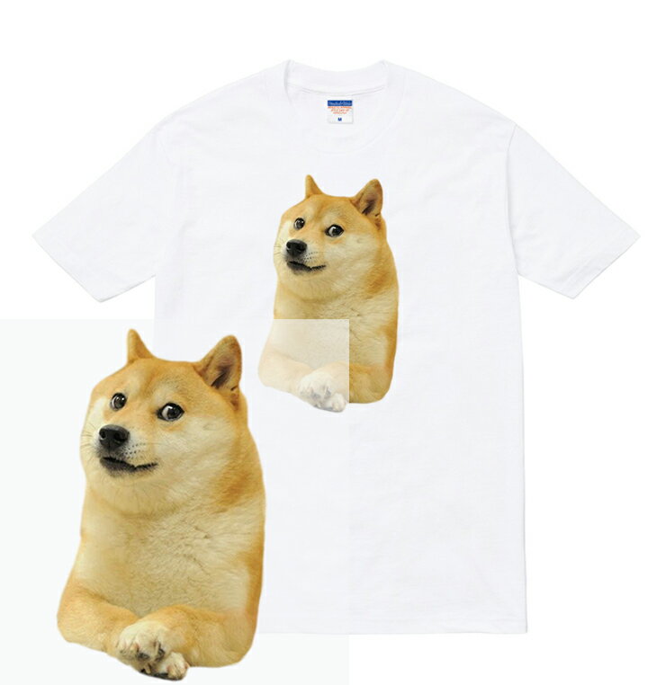 柴犬 Tシャツ/ メンズ レディース 半袖 ロゴ トップス ストリート 犬 アニマル 動物 フォト 写真 イッヌ シッバ ドージ DOGE かわいい tee tシャツ