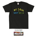 De La Soul Tシャツ 半袖 レディース メンズ　ユニセックス ストリート ブランド 定番 人気 HIP HOP ヒップホップ ファンク ソウル ニ..