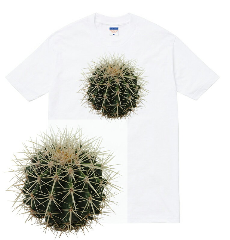 CUCTUS Tシャツ サボテン カクタス プラント cuctus plant 多肉植物 塊根植物 植物 ネイチャー 写真 フォト かわいい おしゃれ 人気 プリント デザイン グラフィック ストリート メンズ レディース 半袖 tee tシャツ