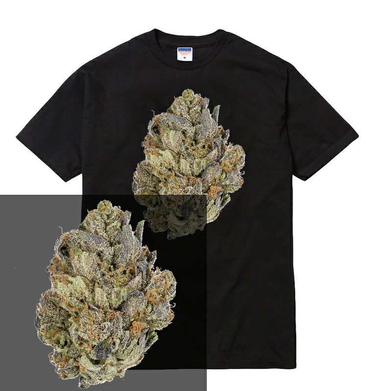 BUDS tシャツ ガンジャ 420 大麻 マリファナ weed ウィード cbd 写真 photo バッズ 種 smoke スモーク thc フォト 合法 ファッション ストリート hiphop メンズ レディース ブランド tee Tシャツ