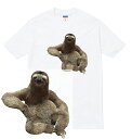 Sloth Tシャツ ナマケモノ sloth アニマル 動物 かわいい おしゃれ 写真 フォト 人気 プリント デザイン グラフィック ストリート メンズ レディース 半袖 tee tシャツ