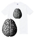 BRAIN Tシャツ 脳 脳みそ ブレイン 心臓 ハート 臓器 アナトミー アナトミカル 解剖図 人体 人間 おしゃれ 人気 プリント デザイン グラフィック ストリート メンズ レディース 半袖 tee tシャツ