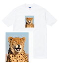 CHEETAH Tシャツ 半袖 チーター 豹 ヒョウ ネコ科 チーターマン cheetahman 笑顔 動物 写真 かわいい 人気 ストリート 流行 メンズ レディース ダンス 衣装 HIPHOP ストリート ブランド tee Tシャツ