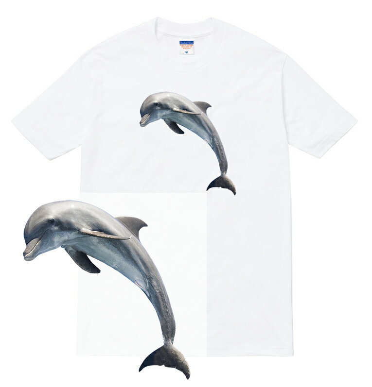 DOLPHIN Tシャツ 半袖 イルカ ドルフィン 水族館 海 夏 レジャー 人気 アニマル かわいい 可愛い 動物 フォト 写真 プリント 流行 メンズ レディース ブランド tee Tシャツ