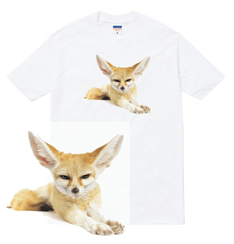 FENNEC FOX Tシャツ 半袖 フェネック きつね 狐 キツネ 動物園 サファリ サバンナ レジャー 人気 アニマル かわいい 可愛い 動物 フォト 写真 プリント 流行 メンズ レディース ブランド tee Tシャツ