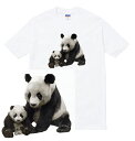 PANDA Tシャツ 半袖 パンダ 動物園 サファリ 夏 レジャー 人気 アニマル かわいい 可愛い 赤ちゃん 子供 親子 動物 フォト 写真 プリント 流行 メンズ レディース ブランド tee Tシャツ