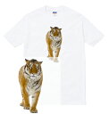 TIGER Tシャツ 半袖 タイガー トラ 虎 動物園 サファリ サバンナ レジャー 人気 アニマル かわいい 可愛い 動物 フォト 写真 プリント 流行 メンズ レディース ブランド tee Tシャツ