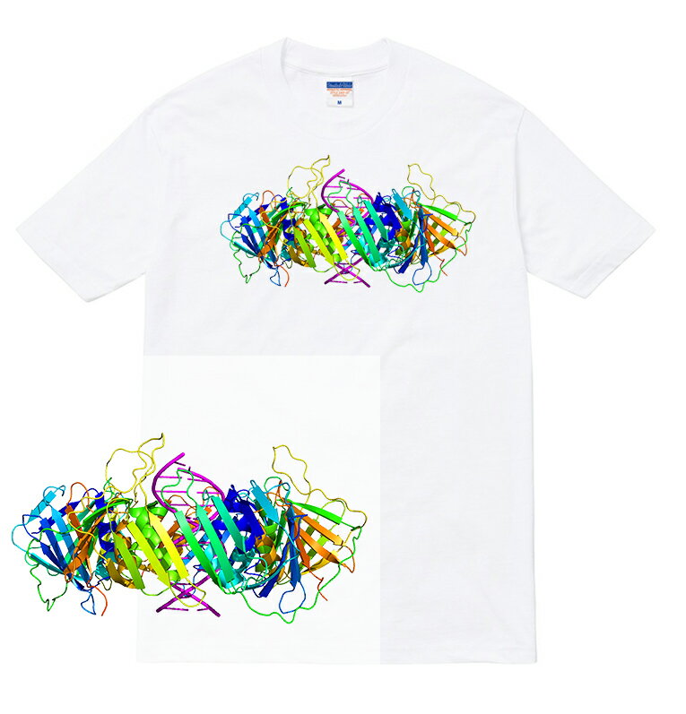 DNA2 tシャツ 半袖 dna 螺旋 塩基配列 遺伝子 生物 細胞 グラフィック 3d らせん メンズ レディース ダンス 衣装 HIPHOP ストリート ブランド tee Tシャツ