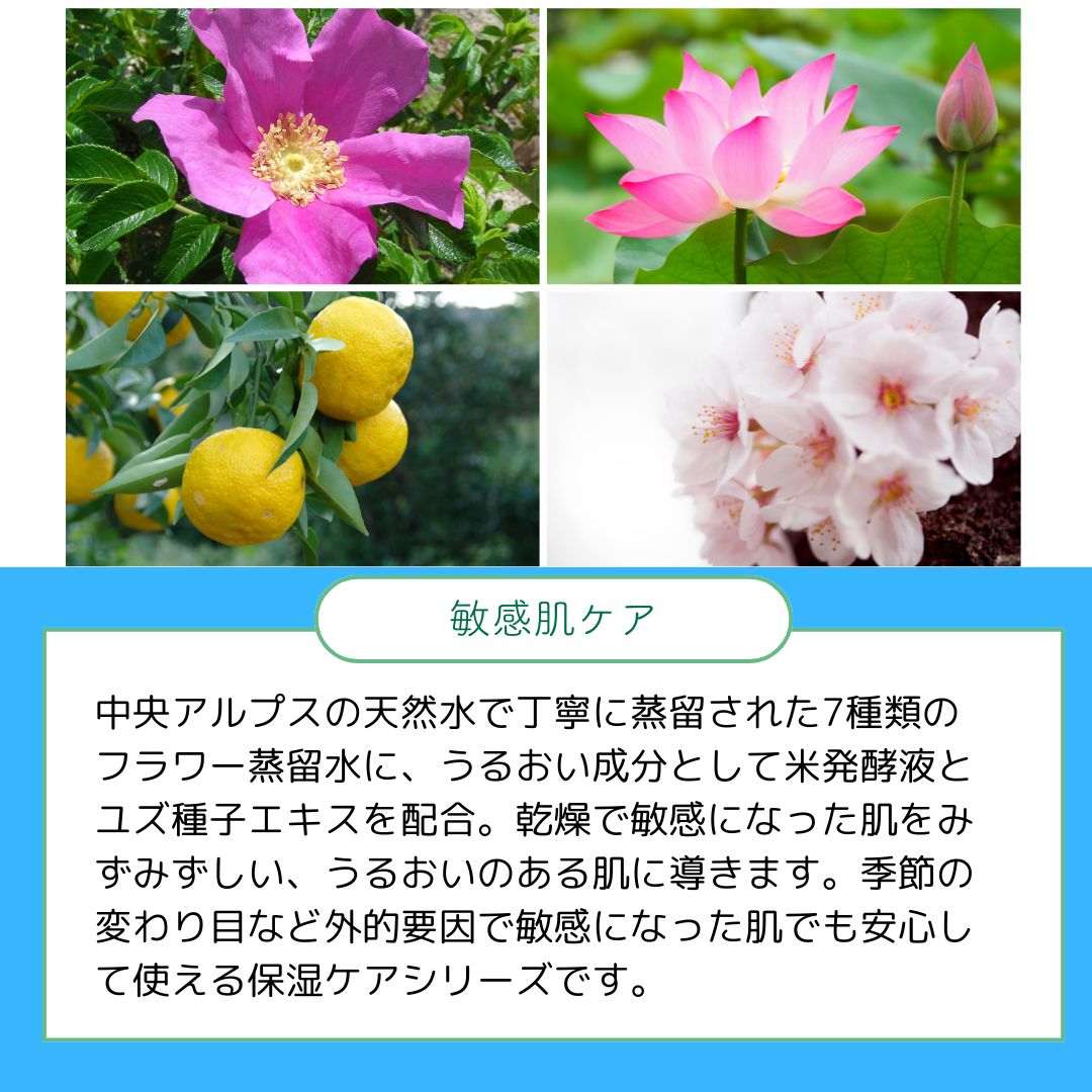 【在庫処分】オーガニック 化粧水 敏感肌 　2本セット　保湿　乾燥対策　しっとり　潤い　ボタニカルアンドビューティー 国産　無添加　肌荒れ　花粉症 　母の日 asu-cosmetics-10000009 asu-cosmetics サンプル画像2