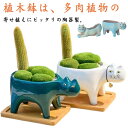 ミニ プランター 植木鉢 多肉植物鉢 2個セット サボテン鉢 猫 かわいい 多肉植物 寄せ植え 観葉植物 プランター ミニ植物適用 ガーデン おしゃれ 飾り プ...