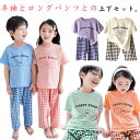 100-150cm パジャマ キッズ ルームウェア 半袖 上下セット トップス パンツ 薄手 春 夏 男の子 女の子 綿 部屋着 ナイトウェア チェック柄 熊 ...