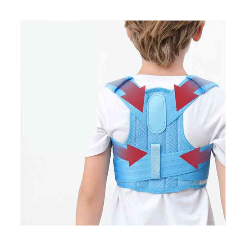 ビーホープ 腰椎コルセット (シングルタイプ) L