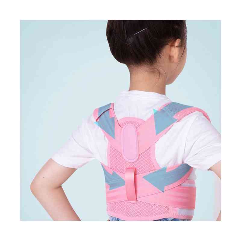 ビーホープ 腰椎コルセット (シングルタイプ) L