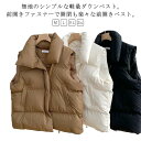 重ね着 レディース 前開き トップス ダウンベスト 秋冬 ダウンベスト 通勤 羽織り 厚手 防寒 中綿ベスト ノースリーブ ポケット付き ライトアウター 通学 韓国風 レイヤード 軽量 ゆったり 柔らか ふわふわ カジュアル|詳細画像