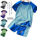 スポーツウェア キッズ 上下セット メッシュ 半袖 tシャツ ショートパンツ ジュニア 女の子 男の子 吸汗速乾 ジャージ トレーニングウェア ハーフパンツ 運...