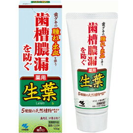 小林製薬 生葉d（しょうよう）　100g/宅配便限定