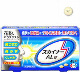 花粉症などによる鼻づまり、鼻みずにエーザイ　スカイナーAL錠　48錠 【第2類医薬品】