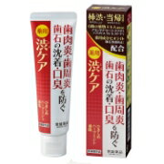 薬用 渋ケア薬用はみがき 100g