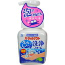 小林製薬 パーシャルデント 洗浄フォーム 250ml/宅配便限定