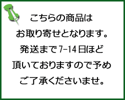 New マイティア イージーS　60ml/宅配便限定